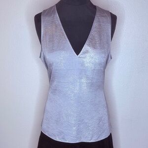 Express Shimmery Silver Top